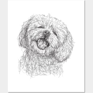 Maltese dog draw with scribble art style Posters and Art